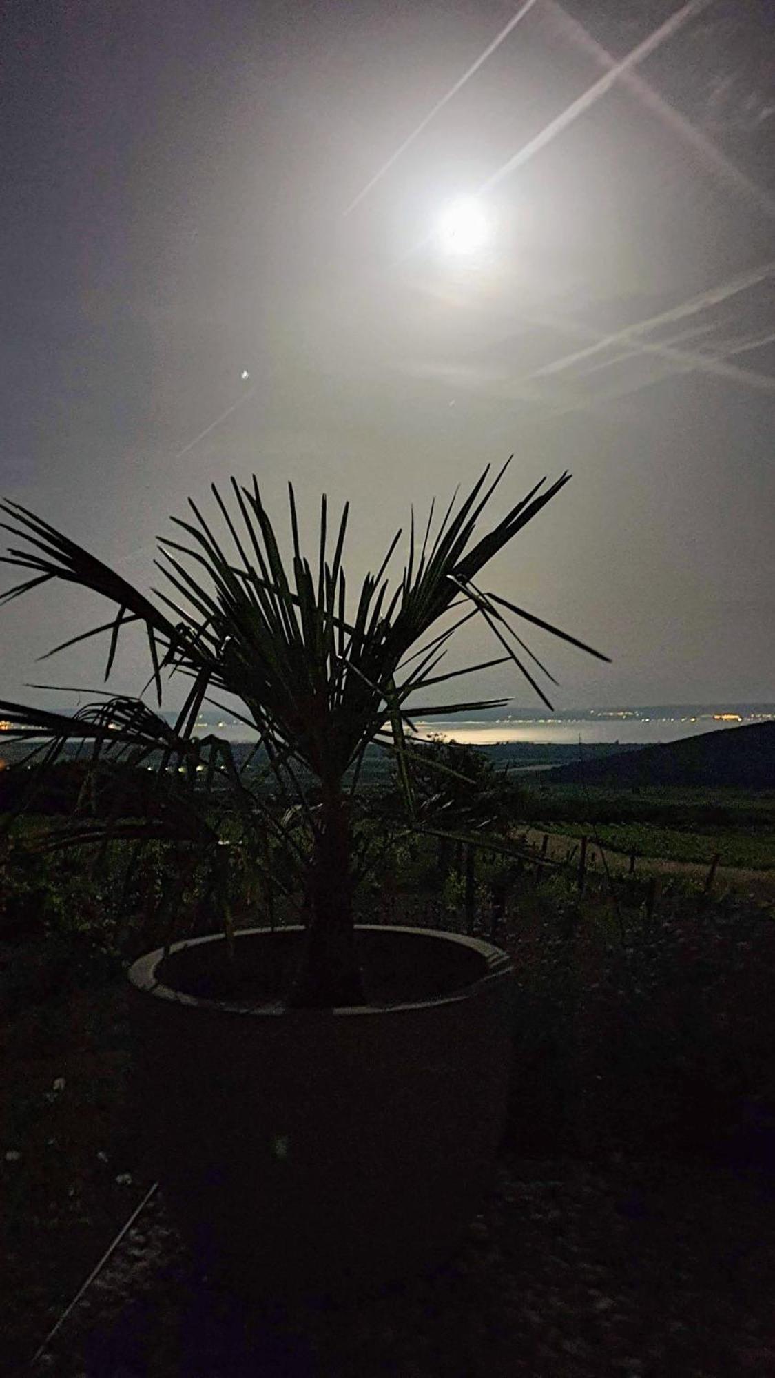 Villa Panorama, Balaton Dörgicse Exterior foto